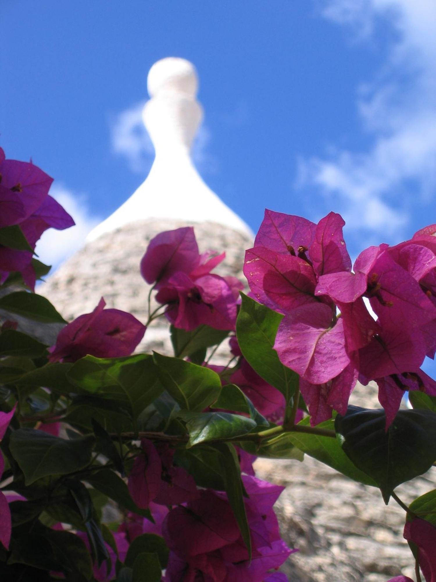 Vacanza In Puglia Alberobello Exteriér fotografie