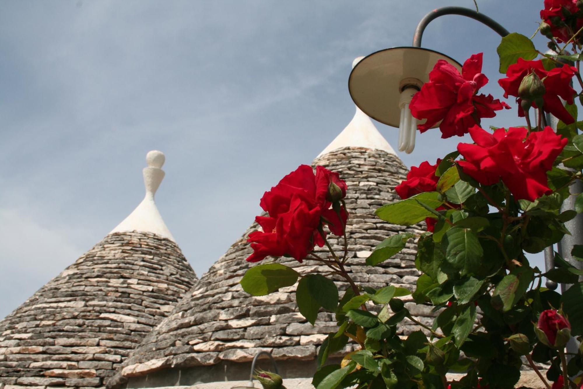 Vacanza In Puglia Alberobello Exteriér fotografie